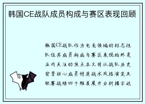 韩国CE战队成员构成与赛区表现回顾